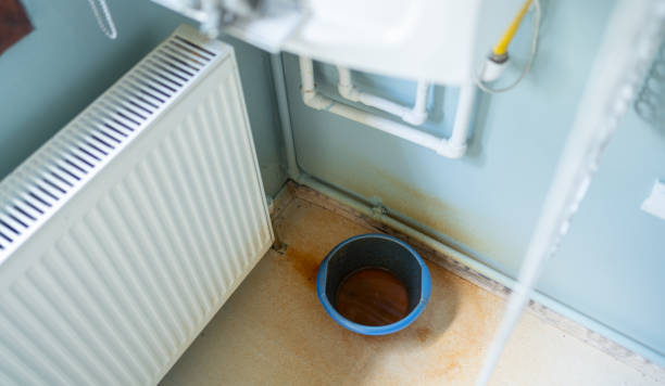 Best Flood damage cleanup  in Olathe, CO