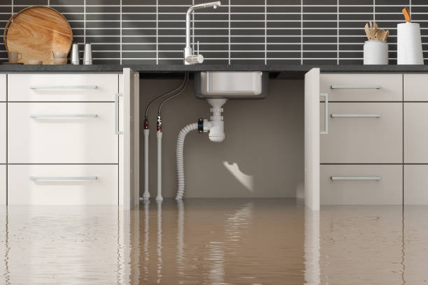Best Flooded house restoration  in Olathe, CO