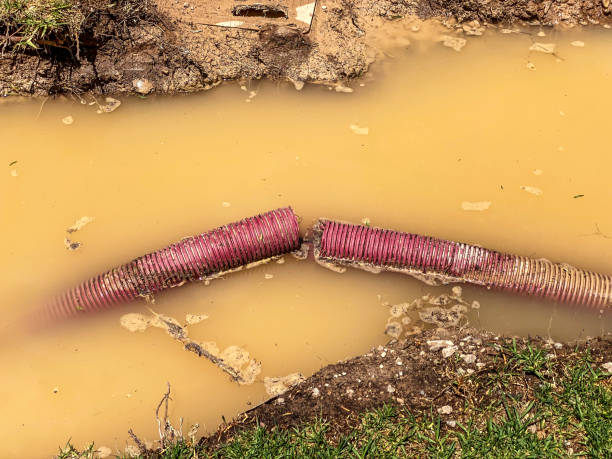 Water damage restoration insurance claims in Olathe, CO